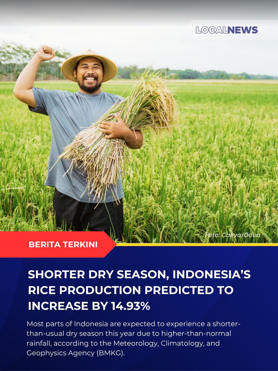 kemarau lebih pendek, Produksi beras Indonesia diperkirakan meningkat sebesar 14,93%